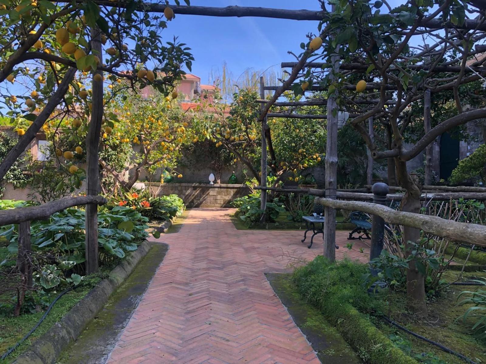 利迪娅木屋酒店 索伦托 外观 照片